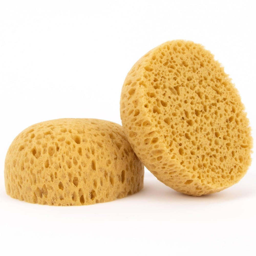 2 Pcs Knockdown Texture Sponge Drywall Repair Texture Spray Texture Patch Sponge