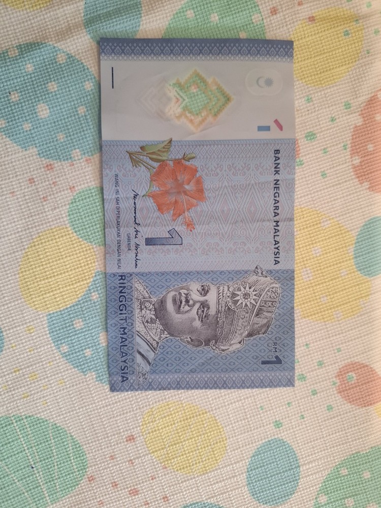 Malaysian 1 Ringgit (RM1) banknote