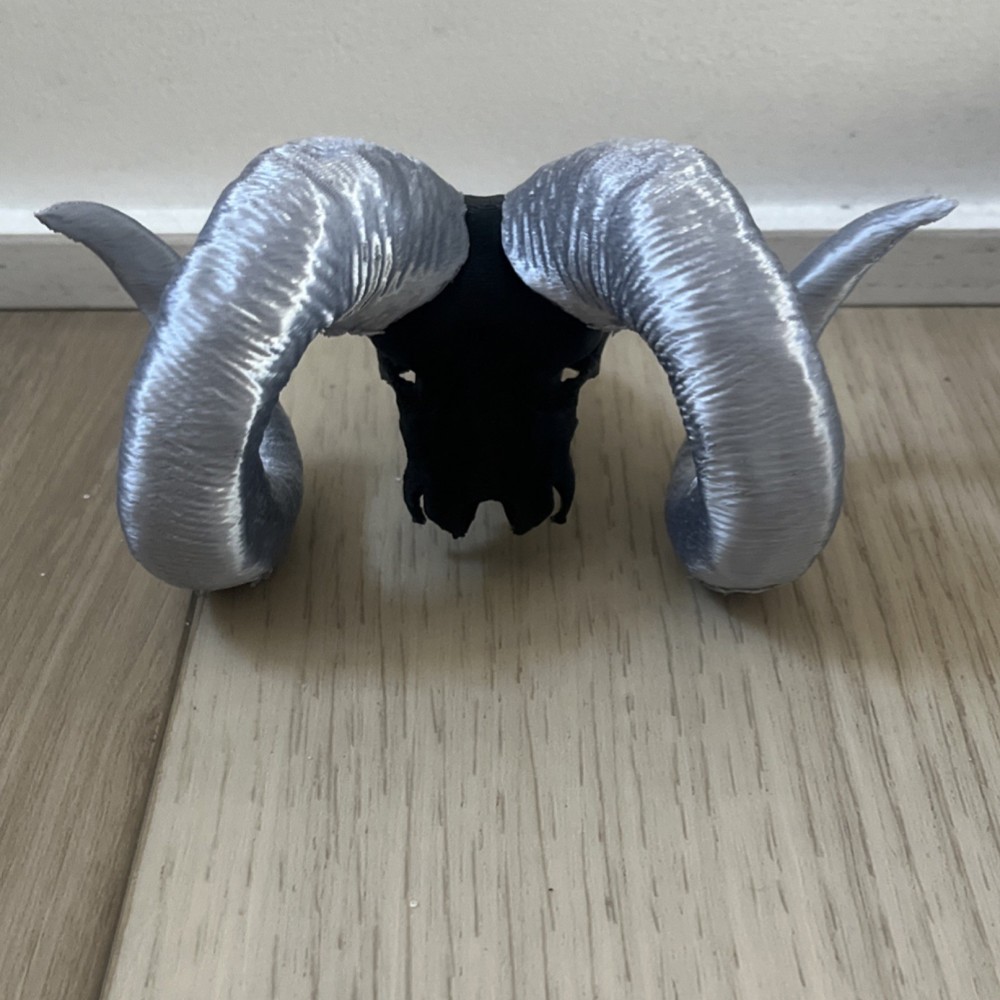 Ram Skull Replica with Curled Gray Horns Decorative Skull