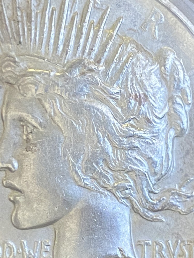 1921 Silver Peace $1 Dollar ~ ANACS Graded MS 60