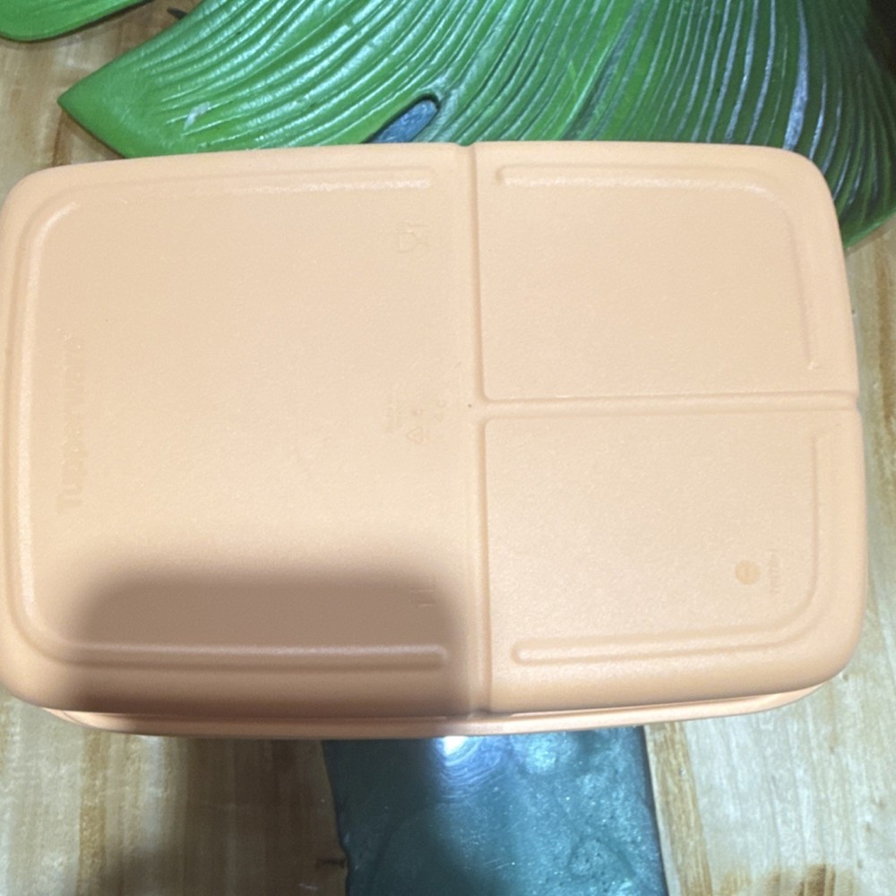 Tupperware Peach Lunch Box Set 2-Pack 3 Compartments with Lids Plastic