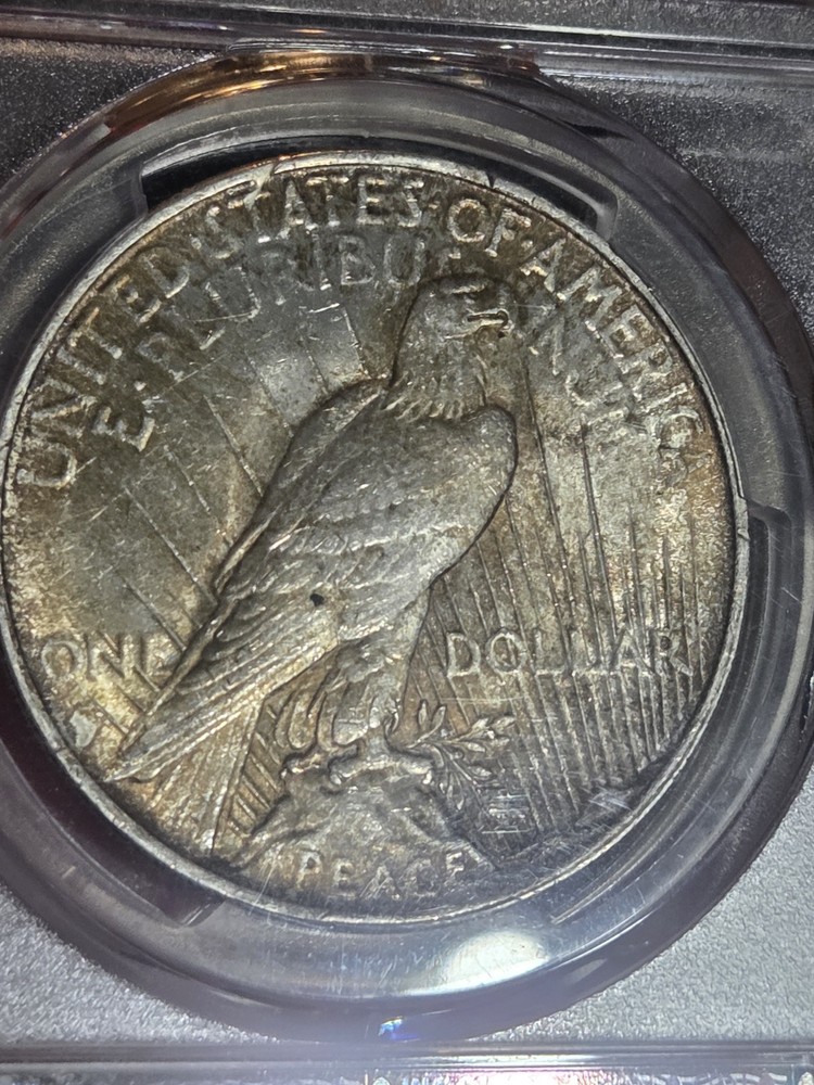 1923 $1 Peace Dollar PCGS MS62 Toned