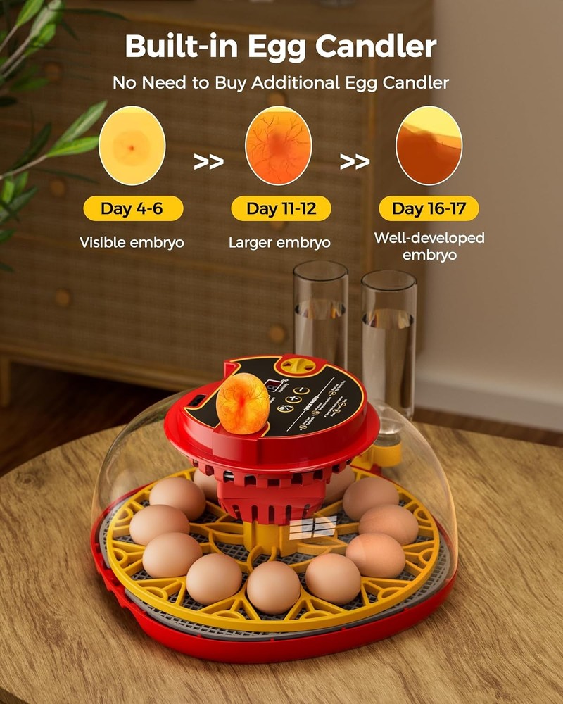 Automatic Egg Incubator with Digital Temperature Humidity Control Thermostat