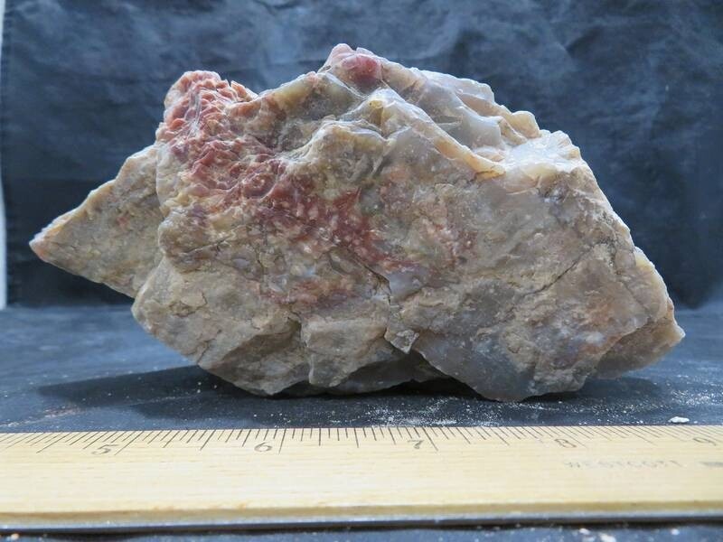 Petrified Wood 2 lbs & 3 ozs
