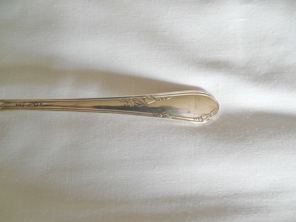 Wm A Rogers Oneida Meadowbrook 44 pieces