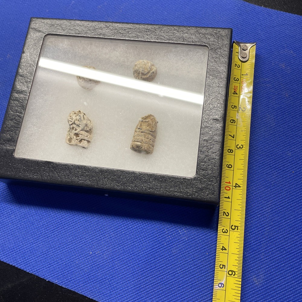 dug civil war relics