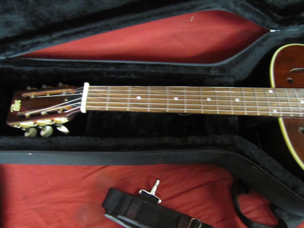 Rogue Fine Instruments Guitar