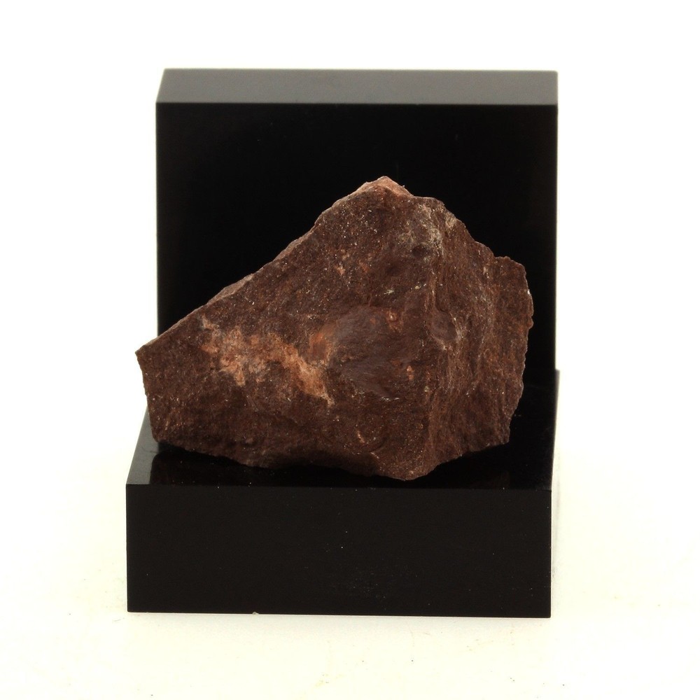 Calamite. 36.6 CT. Arizona, USA.