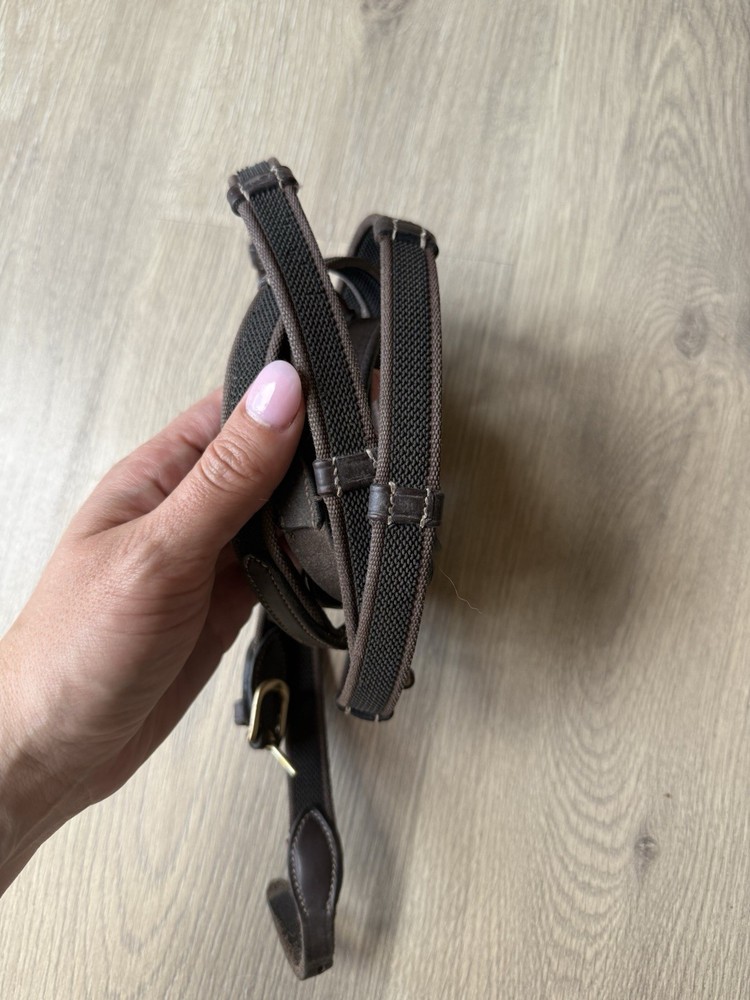 Brown Webbed Reins