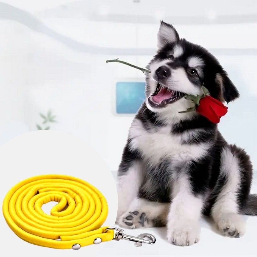Xander Rey Yellow Leather Dog Leash Gift Packaged