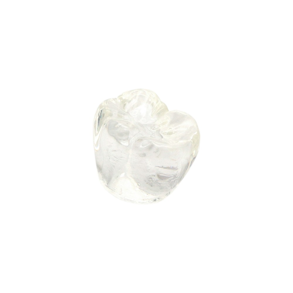 Dental Implant Model Demonstration Teeth Study Teach Model Clear M2020