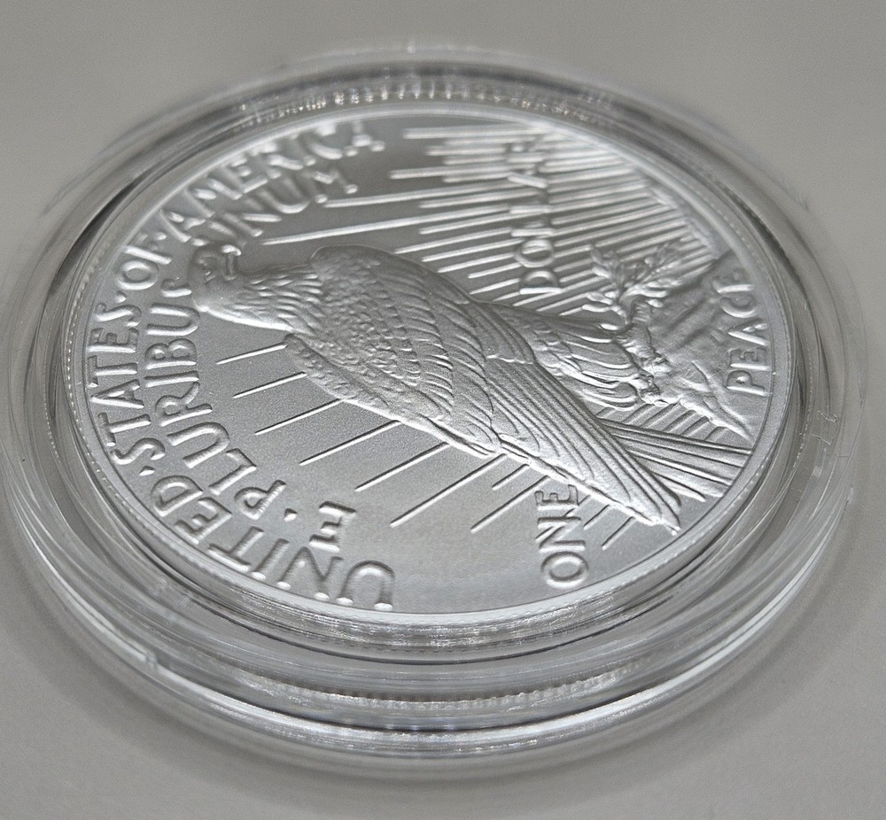 2024 Peace Silver Dollar - OGP Box & COA (24XH)