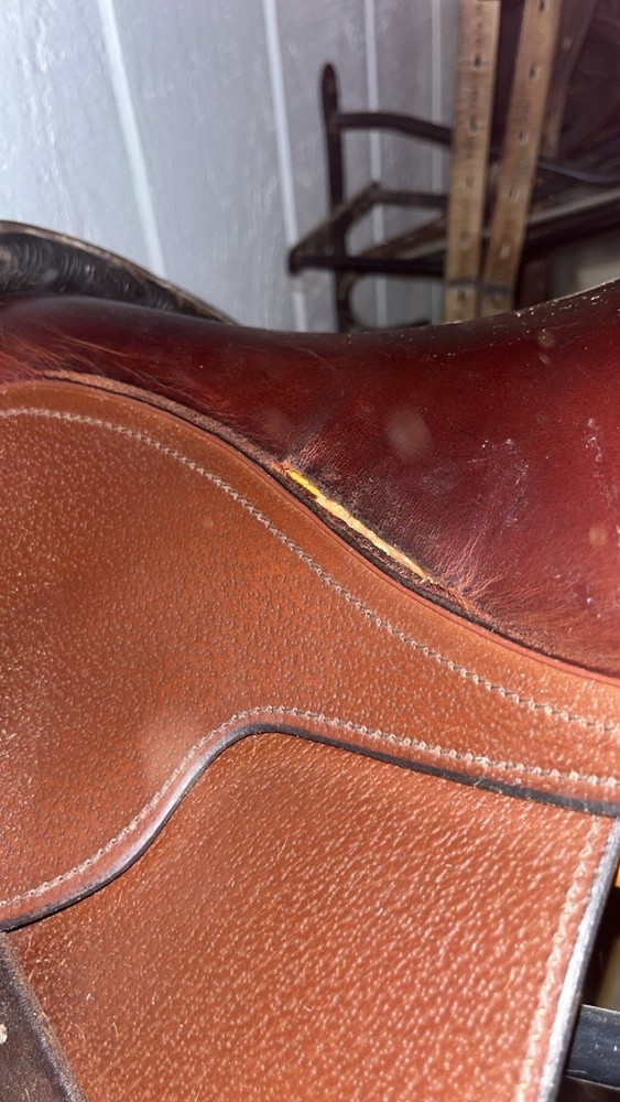 16.5 cambridge saddle medium gullet