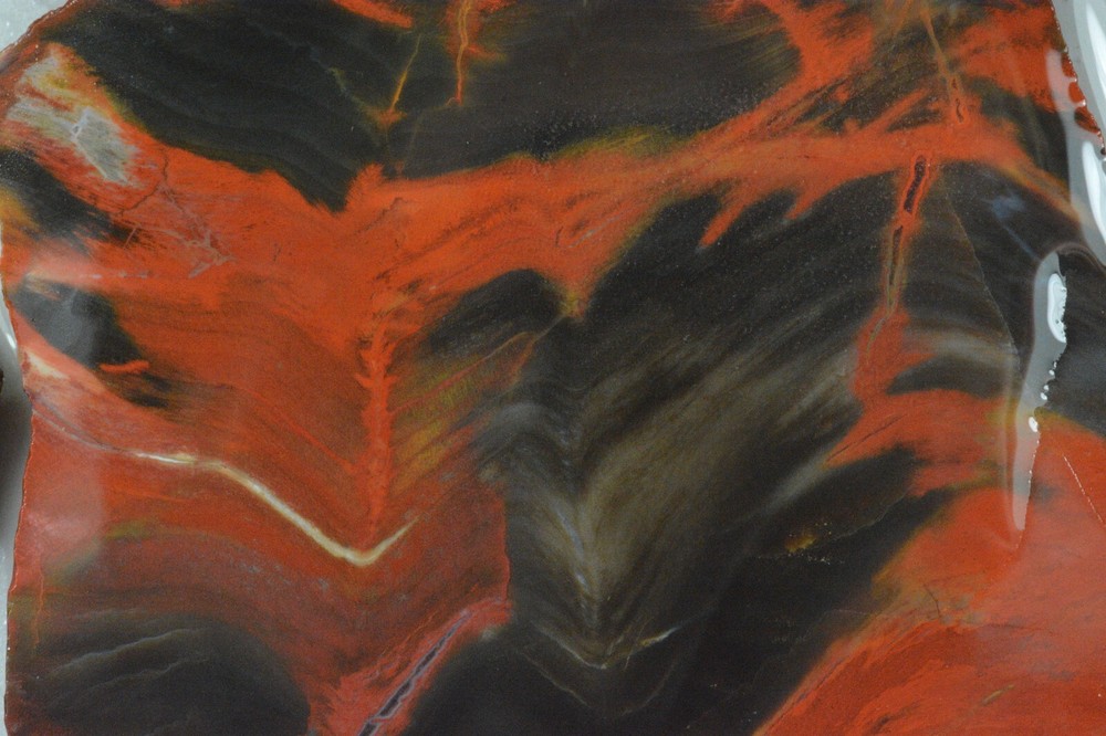 Petrified Wood, Circle Cliffs, Utah, 150 grams