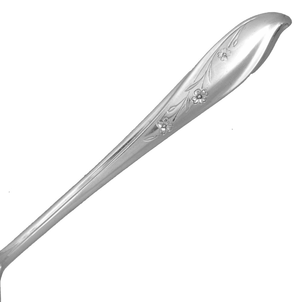 1847 Rogers Bros Springtime silver plate silverware Your Choice Classic Flatware