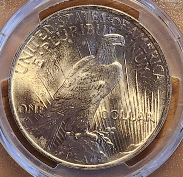 1922 P PCGS MS64 PEACE 90% SILVER #3