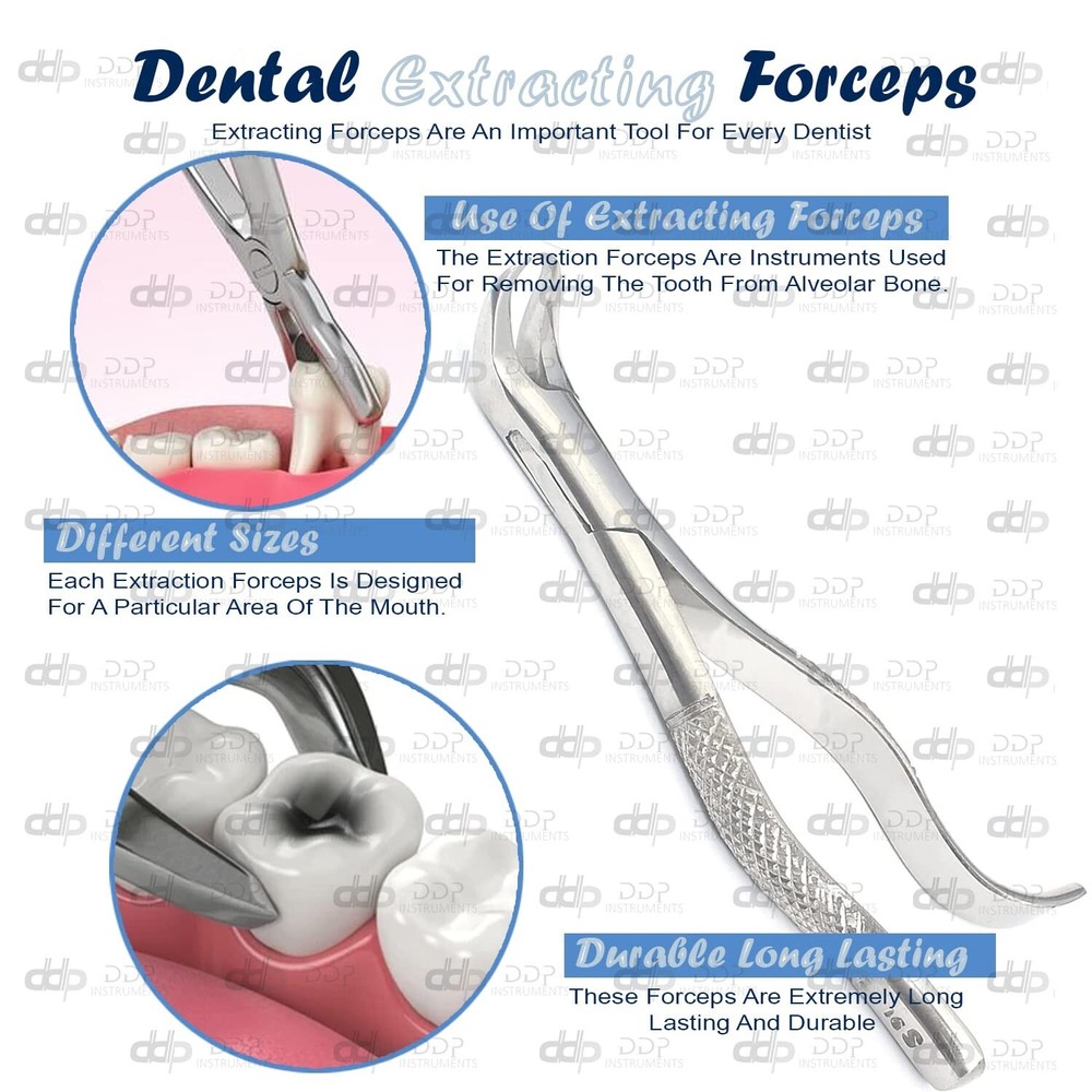 Tooth Extracting Forceps # 16S Surgical Dental Instruments