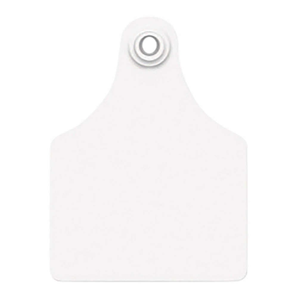 Global Maxi, Blank (25) Color: White