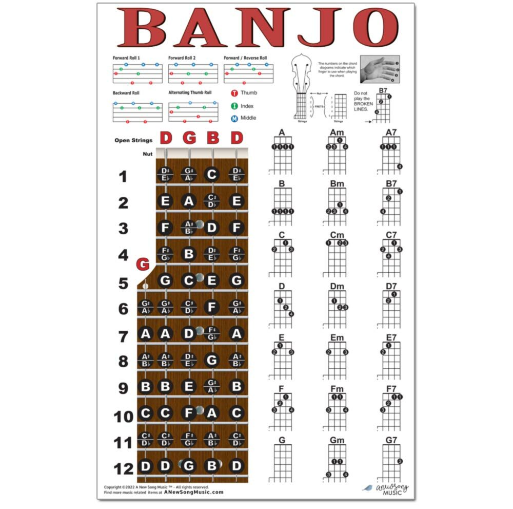 LAMINATED Banjo Chord Chart Poster Fretboard Rolls 5 String Chords Beginner