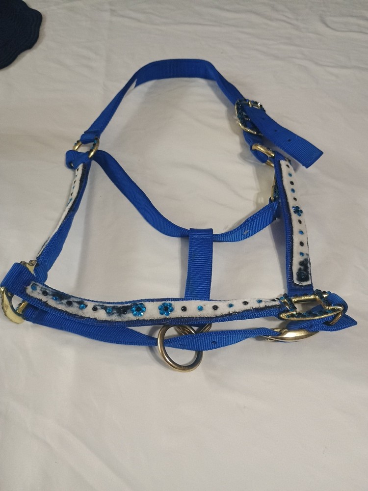 Blue And Black Crystal  Bling  Horse Halter