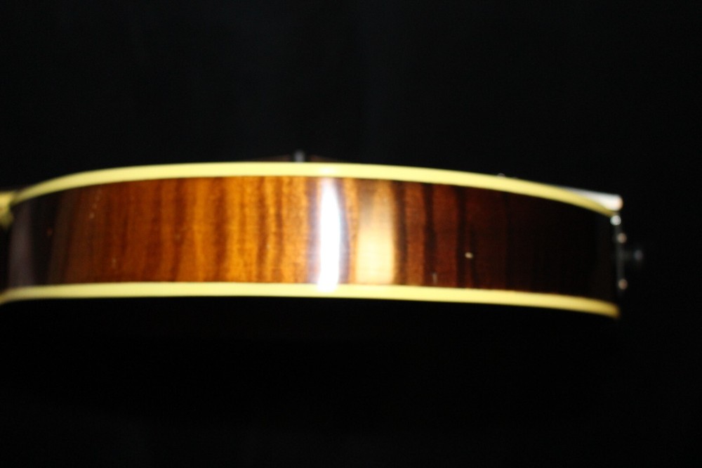 Wayne Henderson John Cephas Mandolin