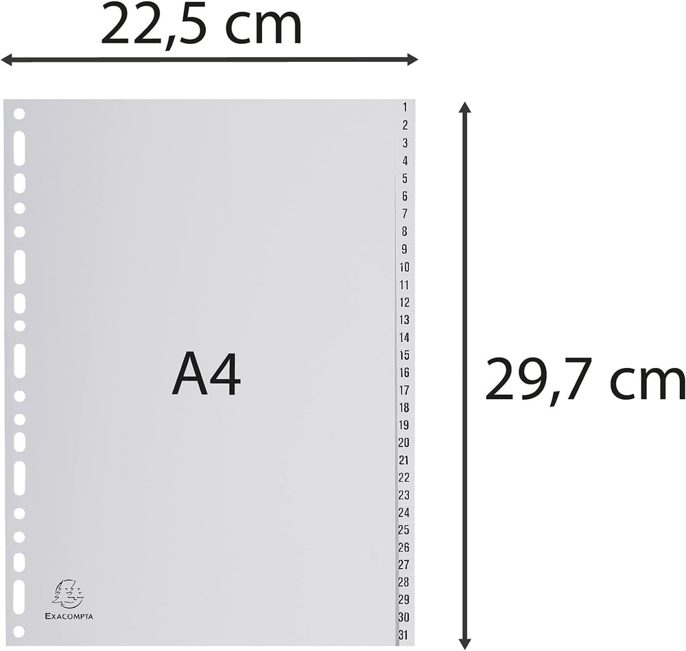 Exacompta - Ref 1931E - PP Printed Indices - For Use With A4 Documents, 0.1mm Po