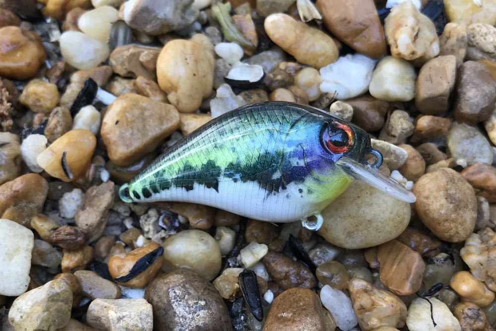 SPEEDBAITS Custom Airbrushed Crankbait