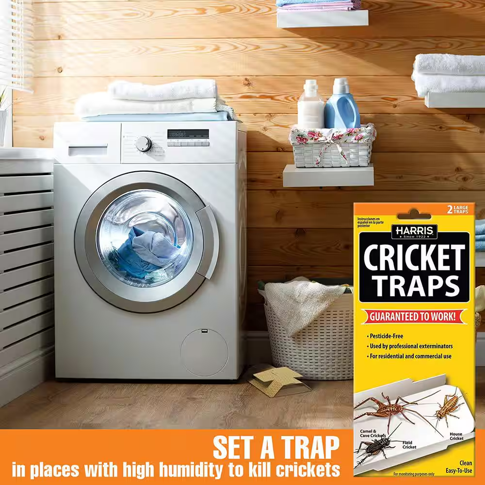 Cricket Traps (2 Pack)