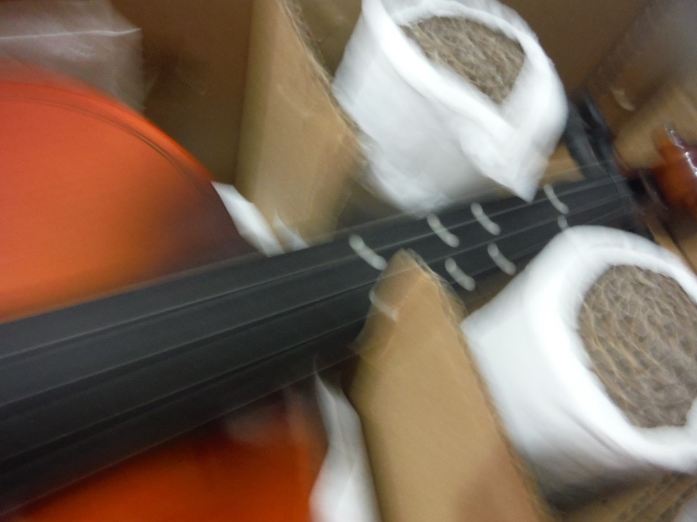 Easter 4/4 Violin NIB