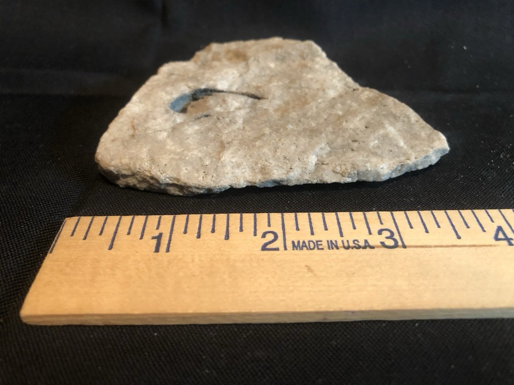 Fossils From West Virginia Mountain