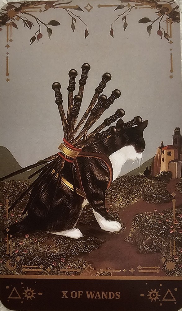 Muse Cat Tarot Deck