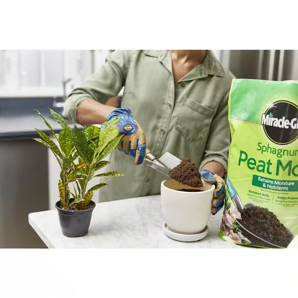 Sphagnum Peat Moss Soil