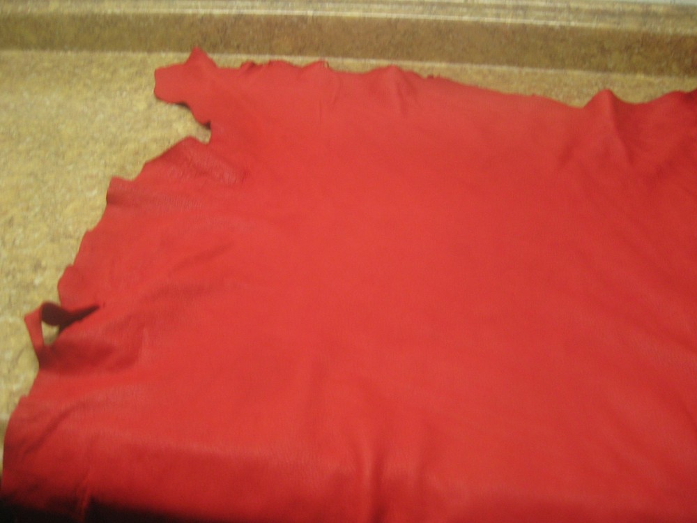 Top Grain Red Deer Leather #0005218 Row T