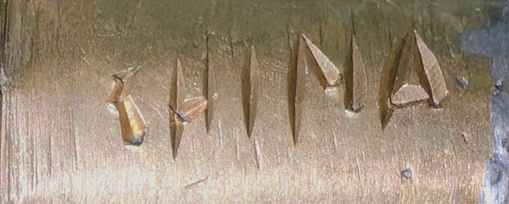 Bronze Chinese Hot Coal Iron (based on google searches)