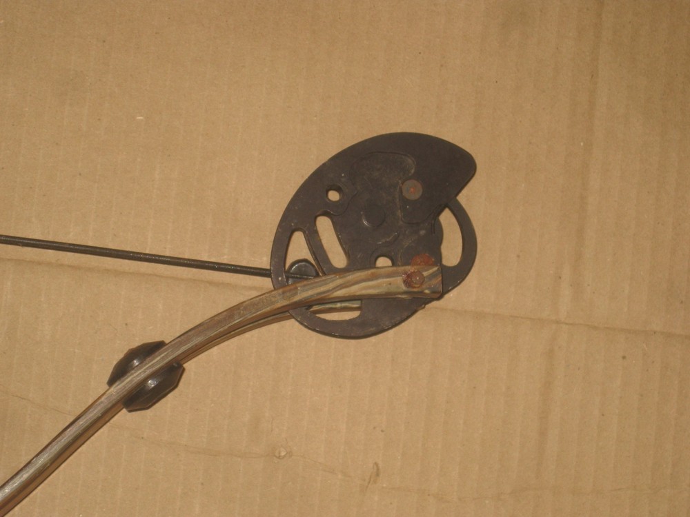 Golden Eagle Evolution Compound Bow