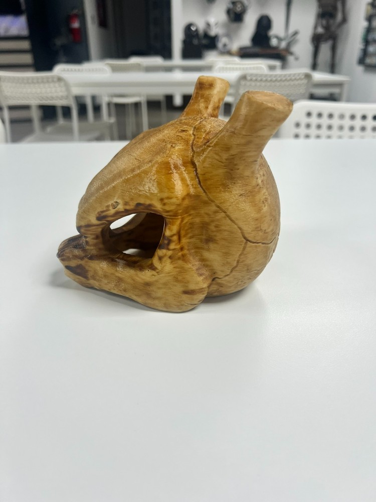 3D Printed Pokemon Mewtwo Skull