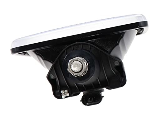 Clear Lamp Assembly - A06-75741-000
