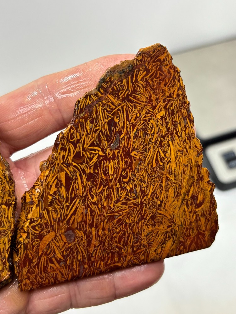Script Stone Jasper Slabs Cabbing Lapidary Collecting Combo Ship Avail