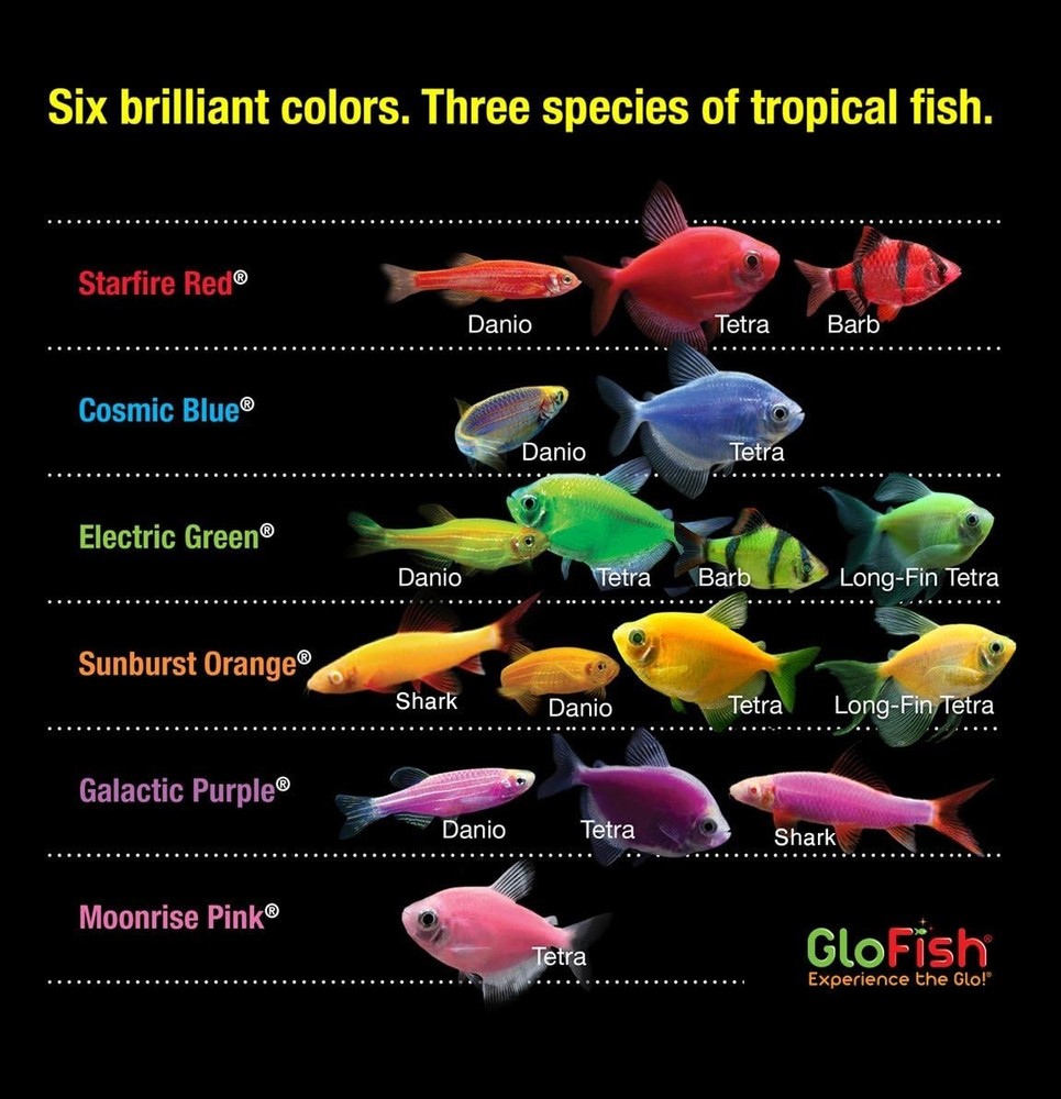 GloFish Crescent Aquarium Kit 5,10 Gallons, Includes Hidden Blue LED Light