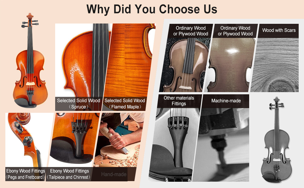 4/4 Violin Set with Shoulder Rest and Extra Strings for Beginners and Adults
