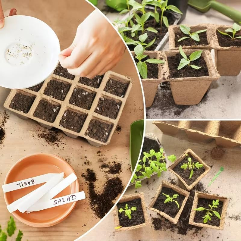 240 Cells Seed Thickened 12-Cell Peat Pots Seed Starter Kit - 20 Trays + Transpl