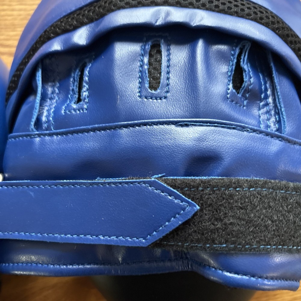 Focus Mitts