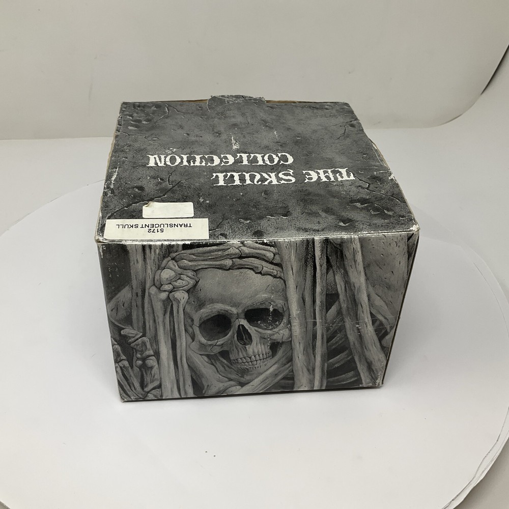 Summit Translucent Skull Head Collectible 2007 Heavy Solid Decoartion 6"