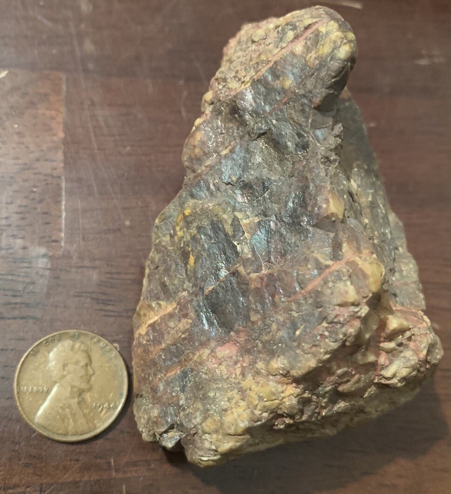 opalized petrified wood Arkansas Fossilized Agate