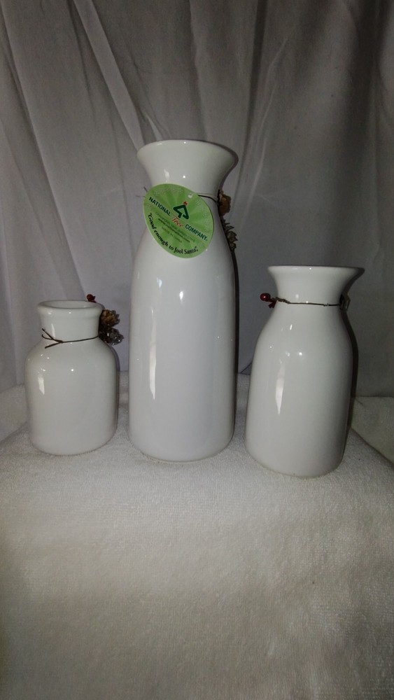 National Tree Company 3 Piece Ceramic Bottle Vases