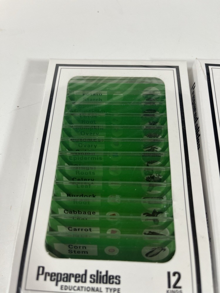 Prepared Microscope Slides Lot Educational Type