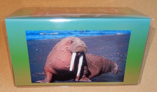 Walrus Vinyl Checkbook Cover with Matching Bookmark
