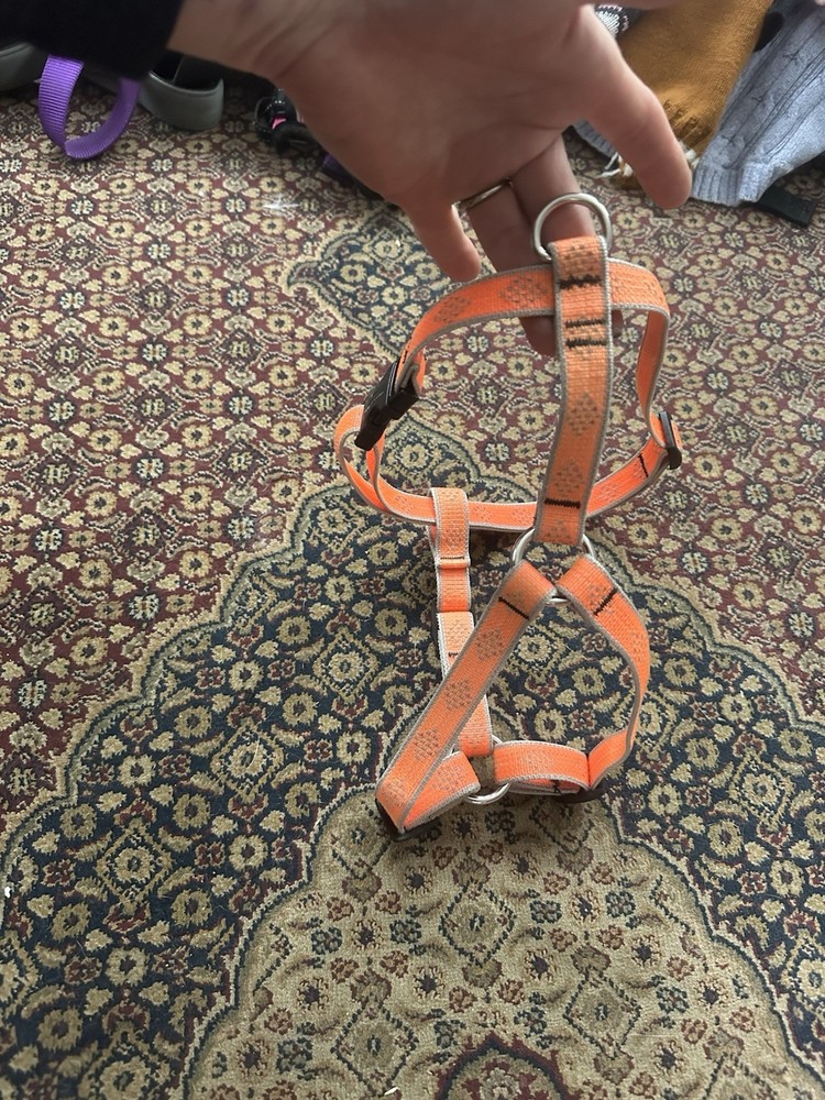 Orange Adjustable Nylon Strap Harness Dog Harness Unisex