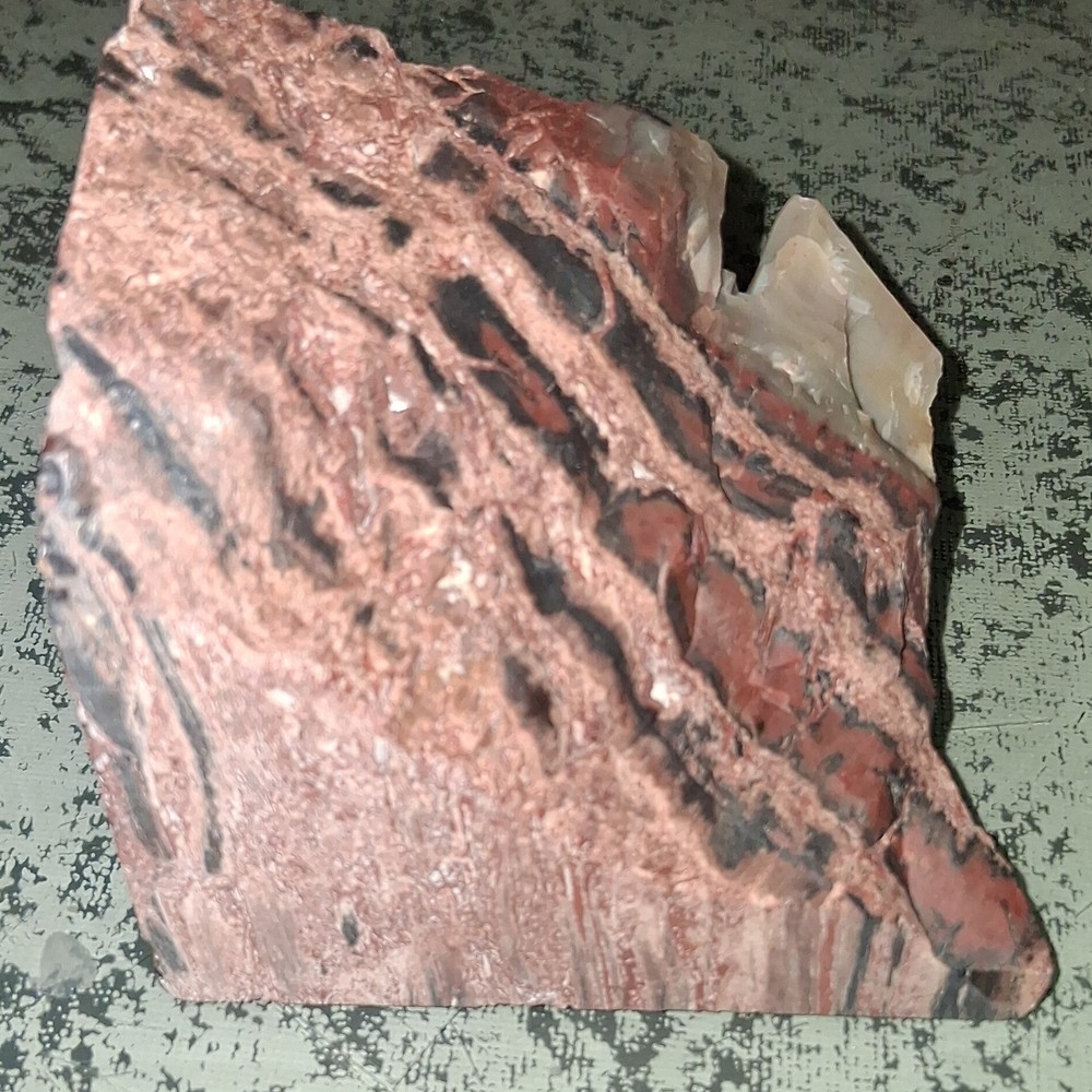 Rainbow Petrified Wood 2x2 Arizona