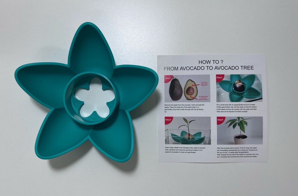 avocado tree growing kit